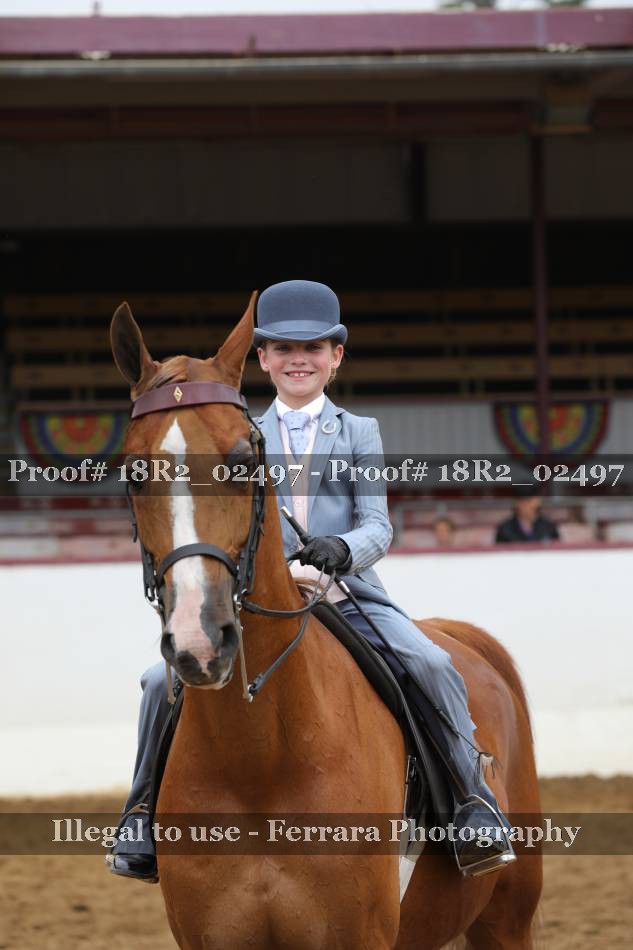 Proof 18R2_02497