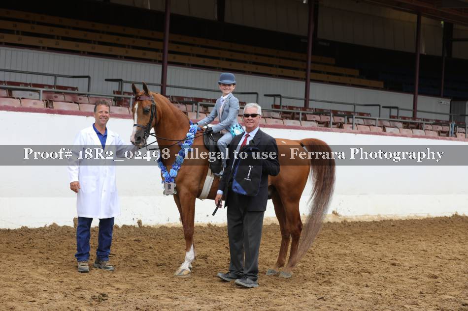 Proof 18R2_02498