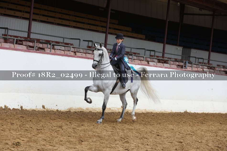 Proof 18R2_02499