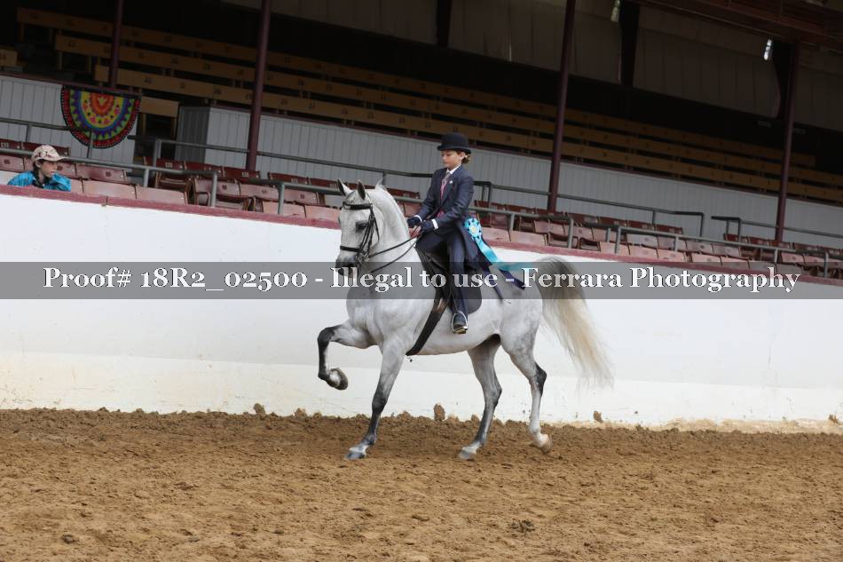 Proof 18R2_02500