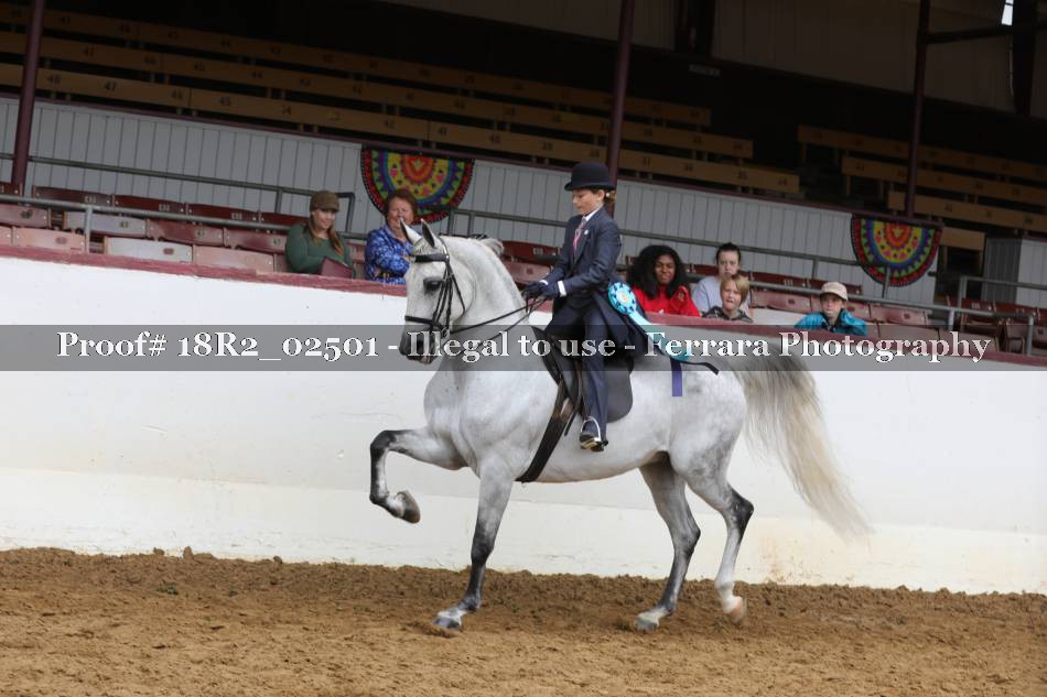 Proof 18R2_02501