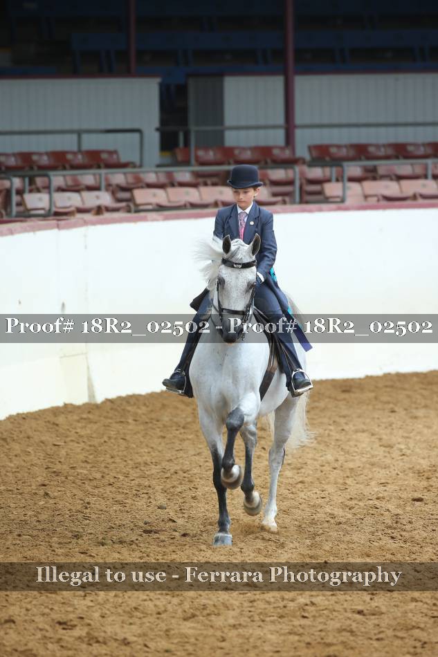 Proof 18R2_02502