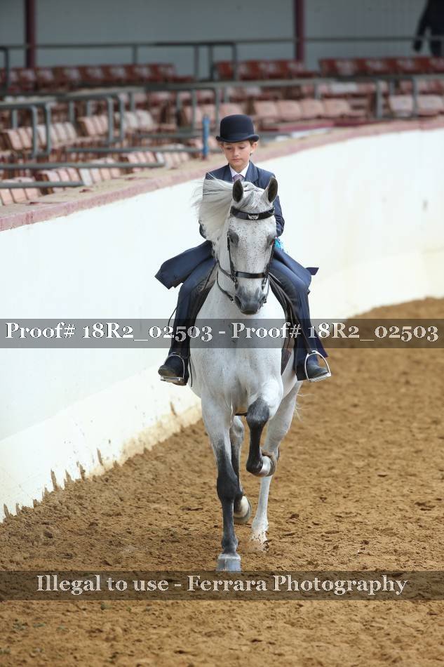 Proof 18R2_02503