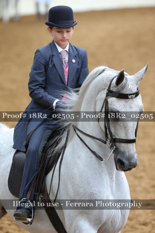 Proof 18R2_02505