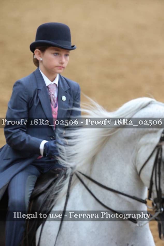 Proof 18R2_02506