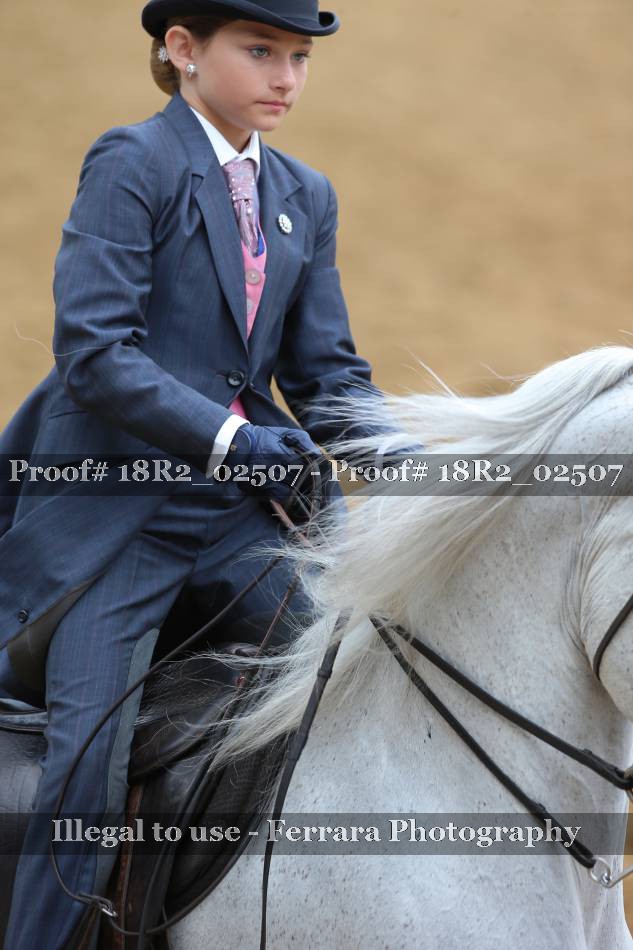 Proof 18R2_02507