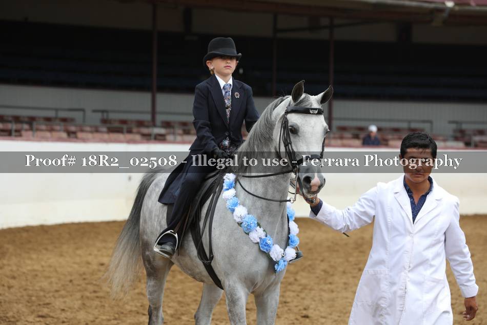Proof 18R2_02508