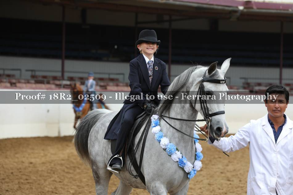 Proof 18R2_02509