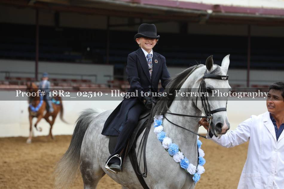 Proof 18R2_02510