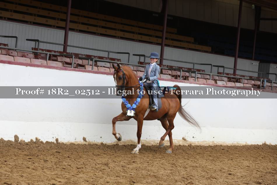 Proof 18R2_02512