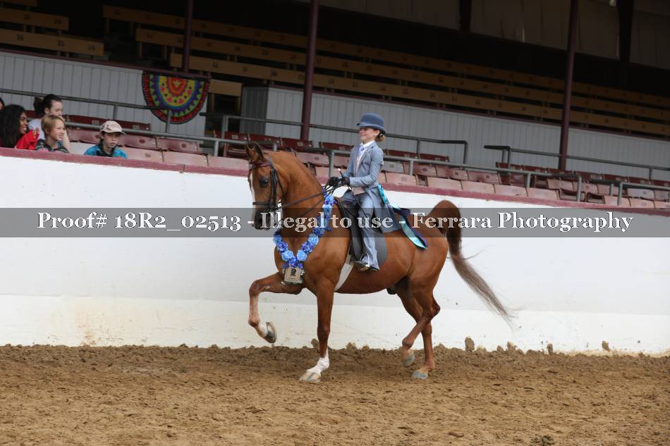 Proof 18R2_02513