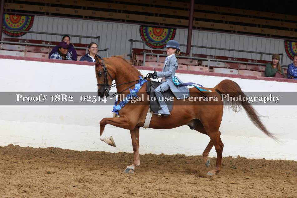 Proof 18R2_02514