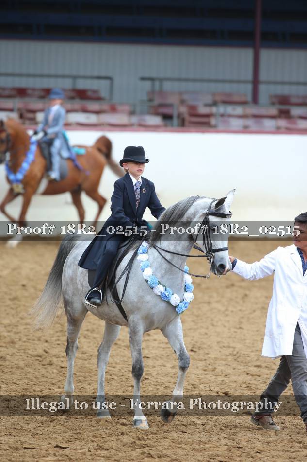 Proof 18R2_02515