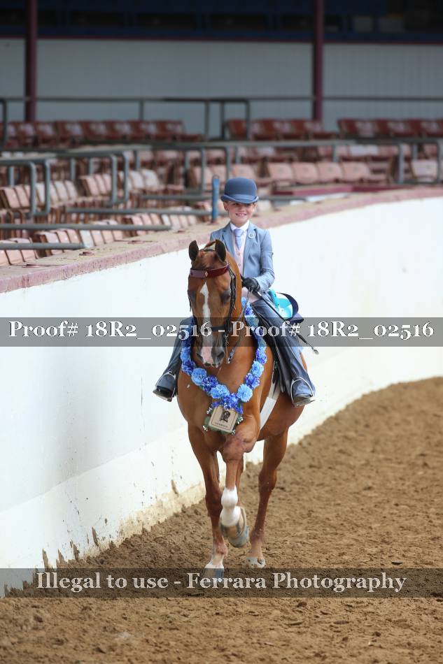Proof 18R2_02516