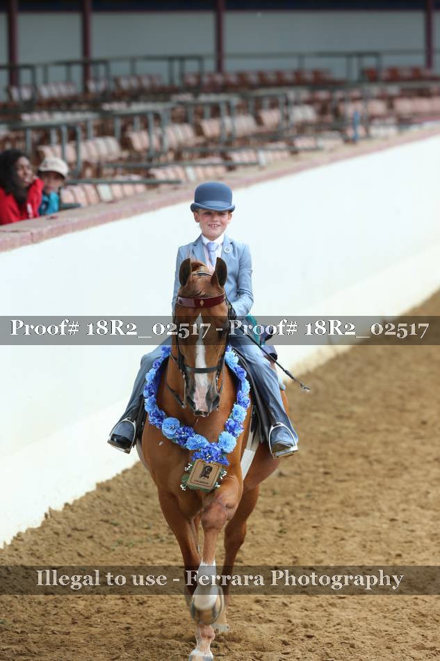 Proof 18R2_02517