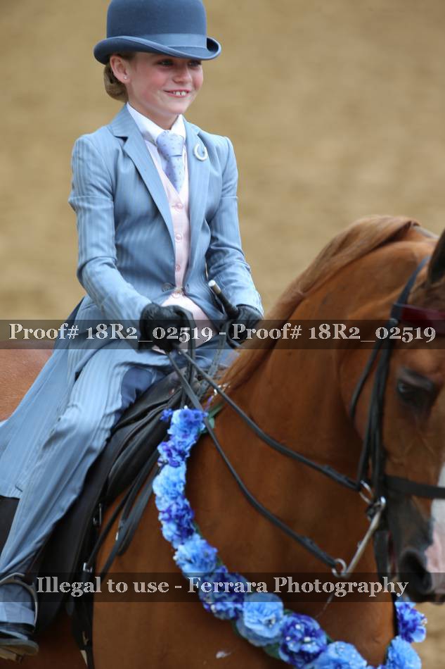 Proof 18R2_02519