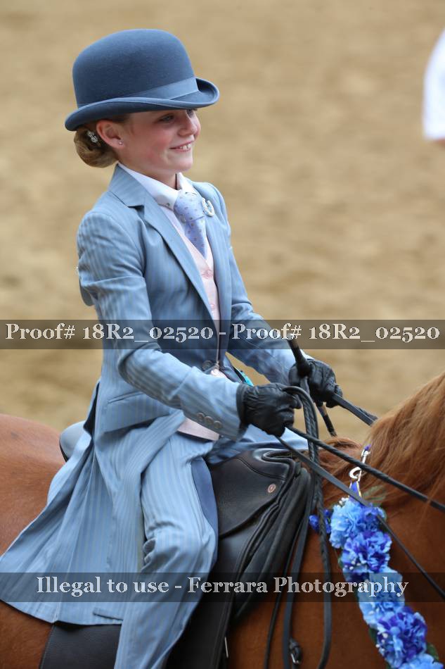 Proof 18R2_02520