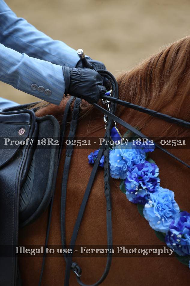 Proof 18R2_02521
