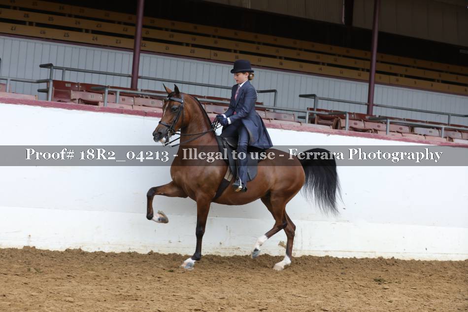 Proof 18R2_04213