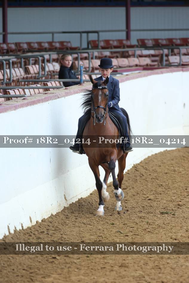 Proof 18R2_04214