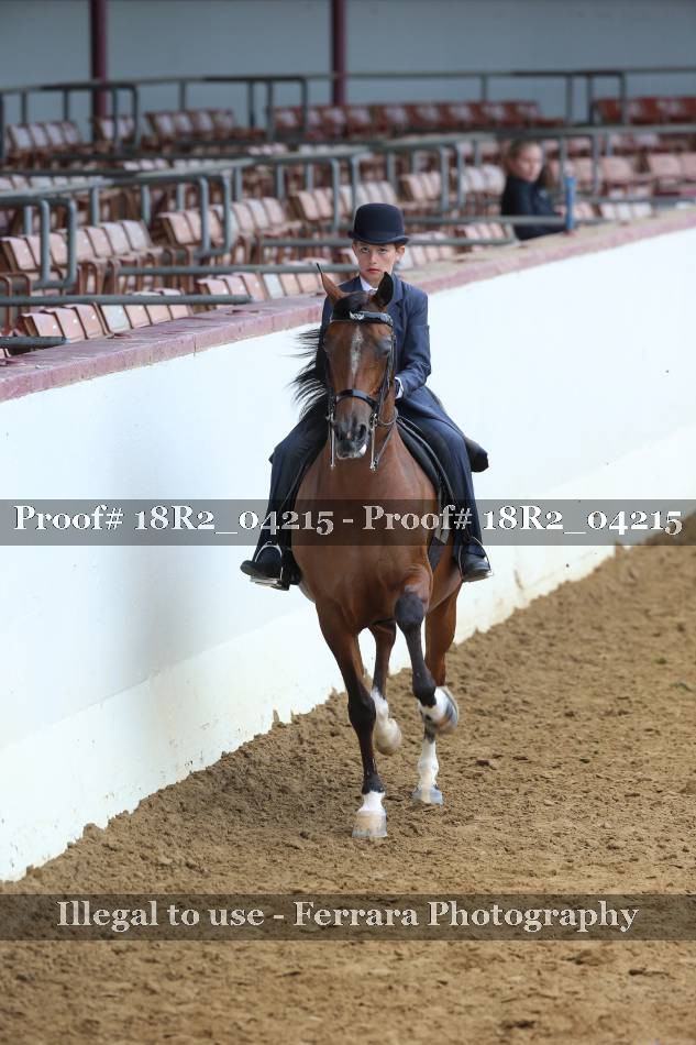 Proof 18R2_04215