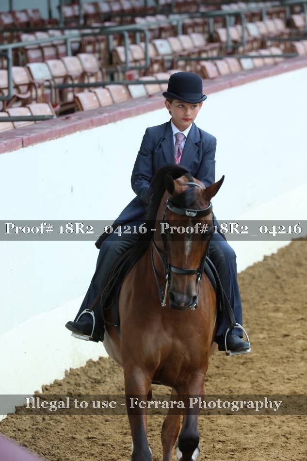 Proof 18R2_04216