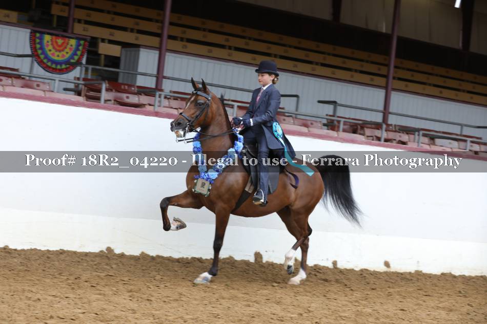 Proof 18R2_04220