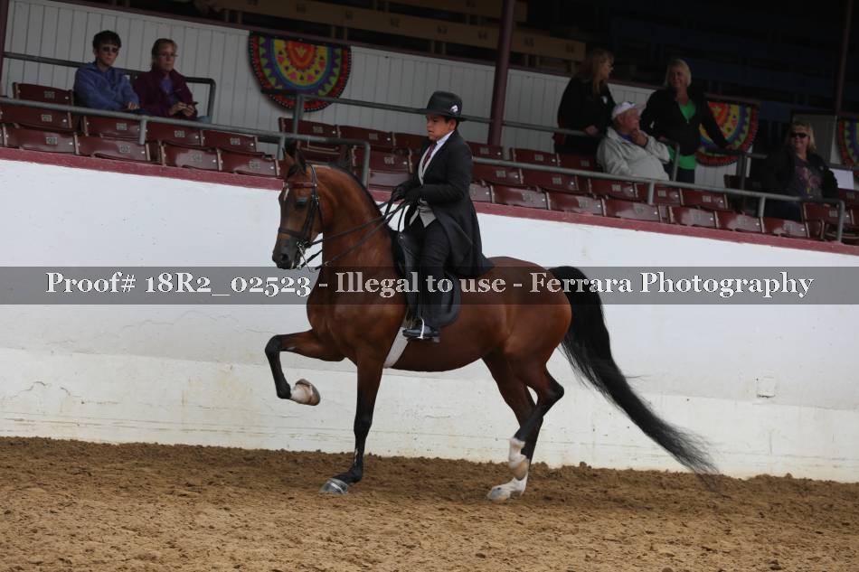 Proof 18R2_02523