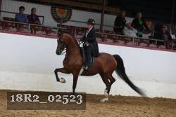 18R2_02523 proof