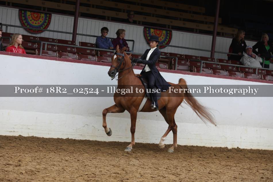 Proof 18R2_02524