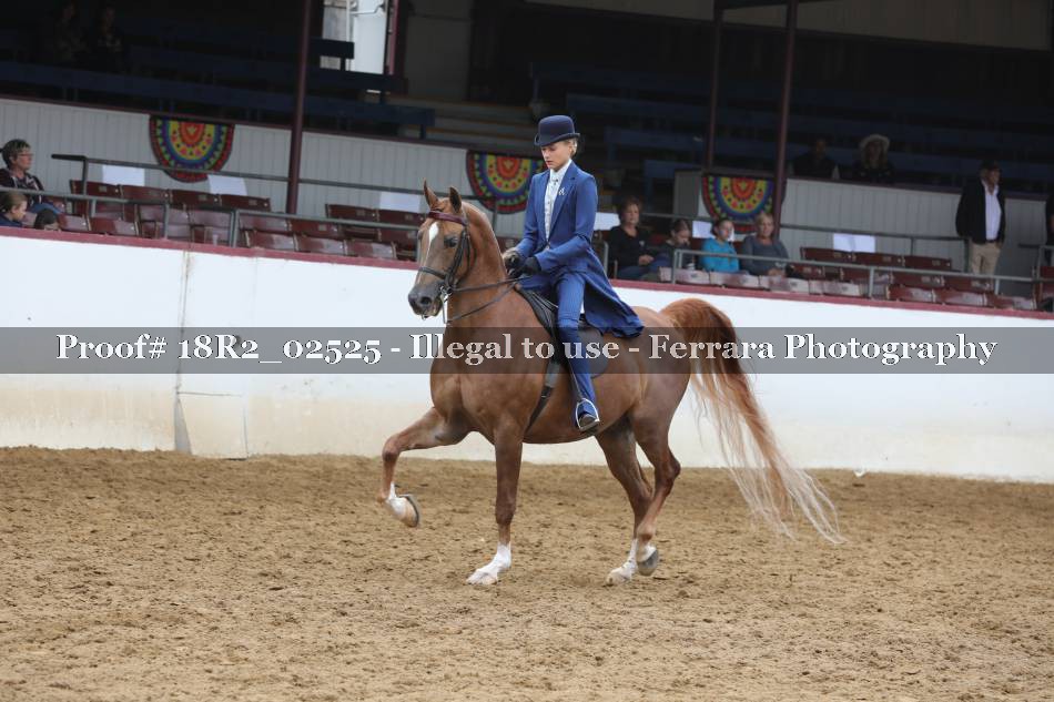 Proof 18R2_02525
