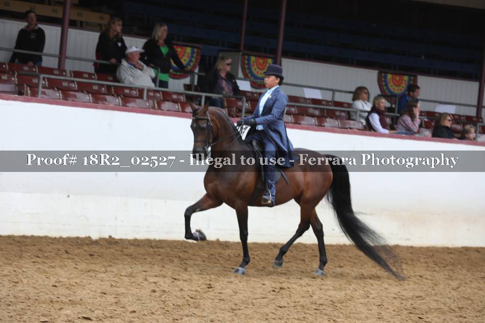 Proof 18R2_02527