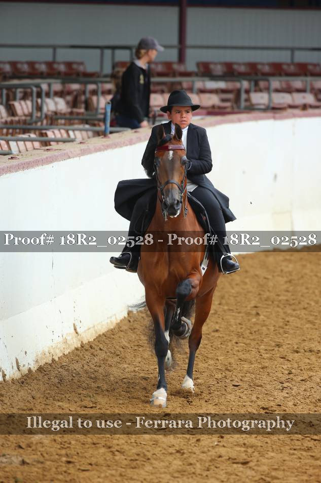 Proof 18R2_02528