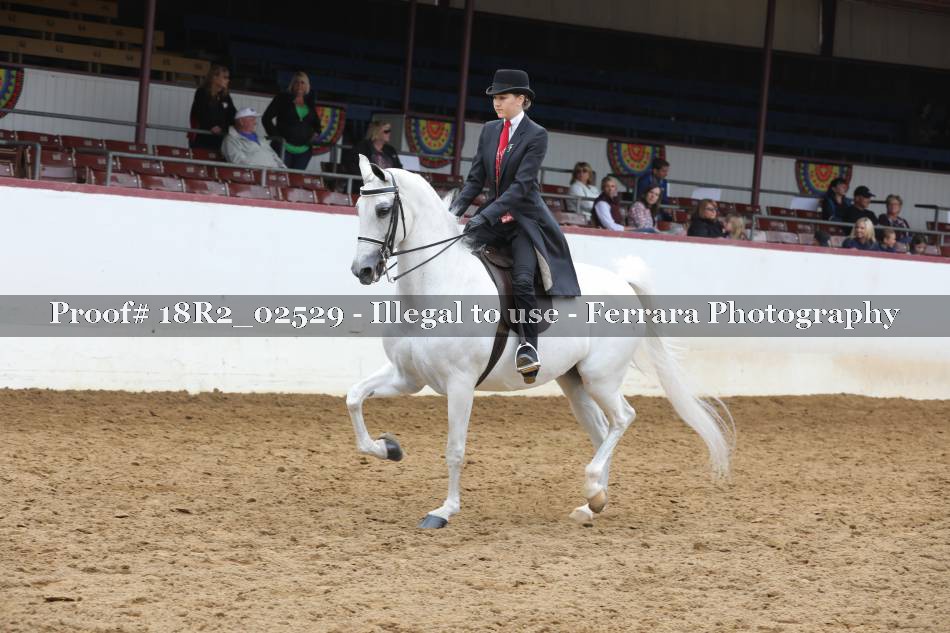 Proof 18R2_02529