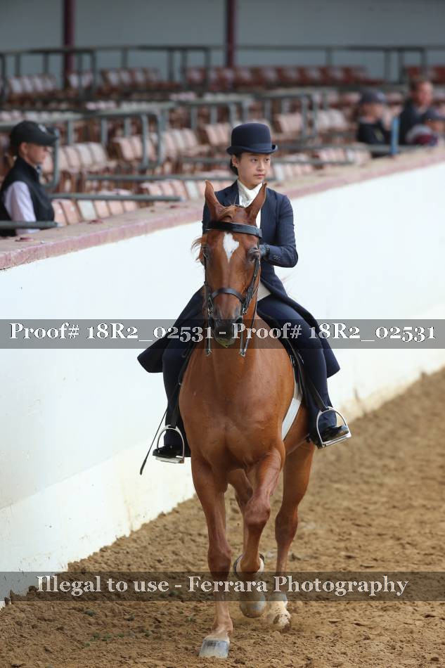 Proof 18R2_02531