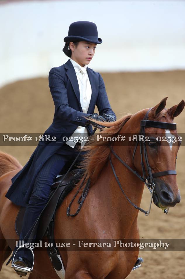 Proof 18R2_02532