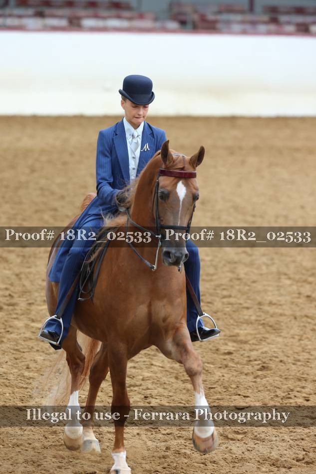 Proof 18R2_02533