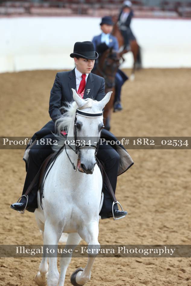 Proof 18R2_02534