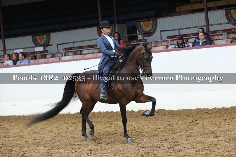 Proof 18R2_02535