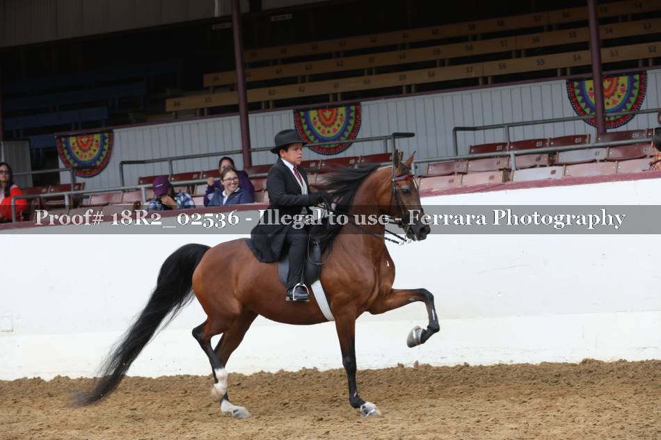 Proof 18R2_02536