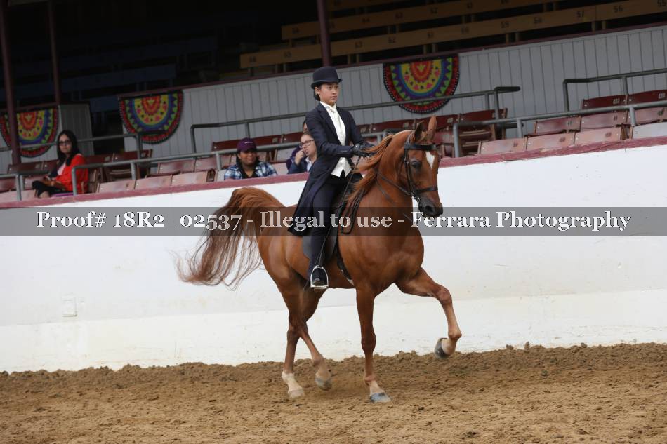 Proof 18R2_02537