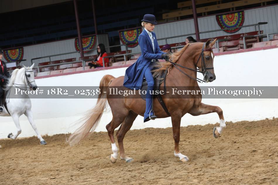 Proof 18R2_02538