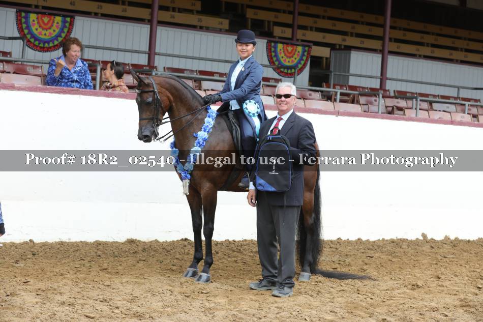Proof 18R2_02540