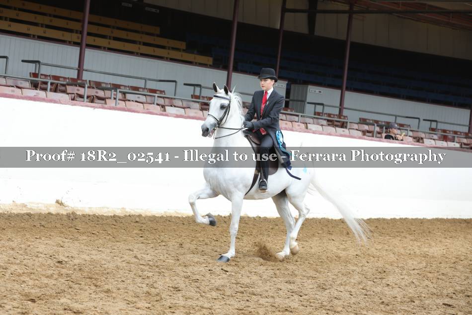 Proof 18R2_02541