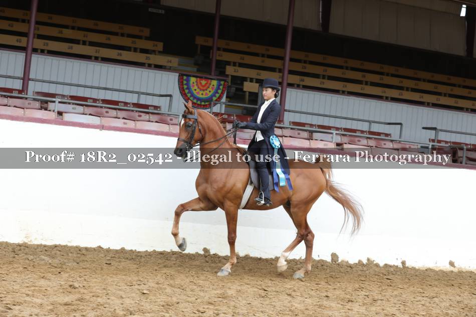 Proof 18R2_02542