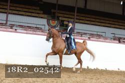 18R2_02542 proof