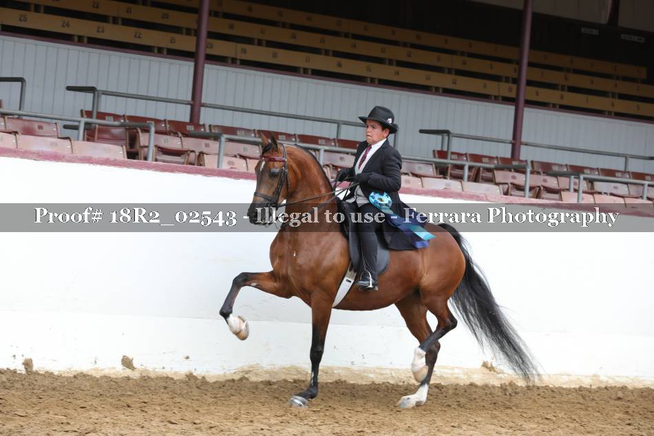 Proof 18R2_02543