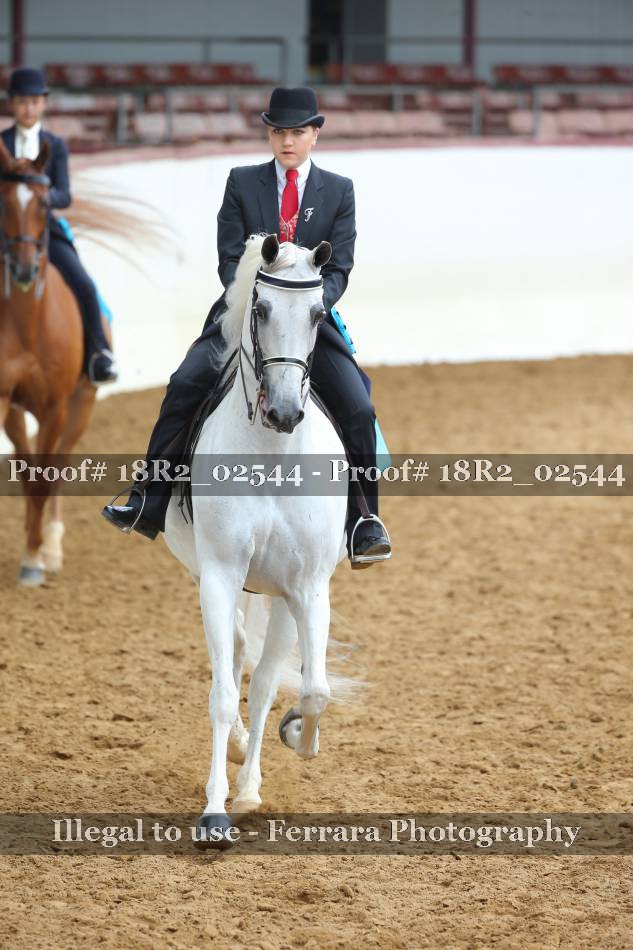 Proof 18R2_02544