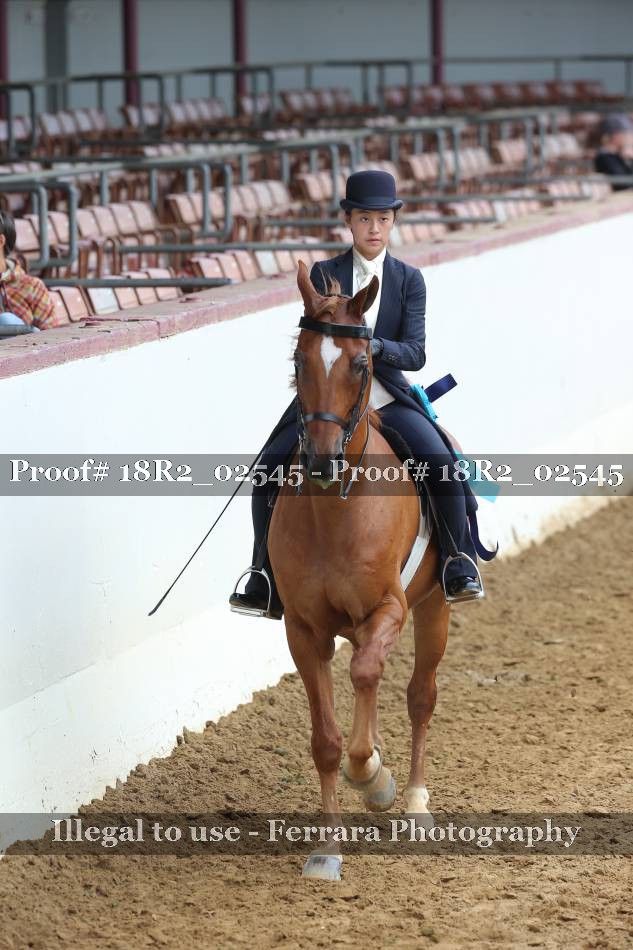 Proof 18R2_02545