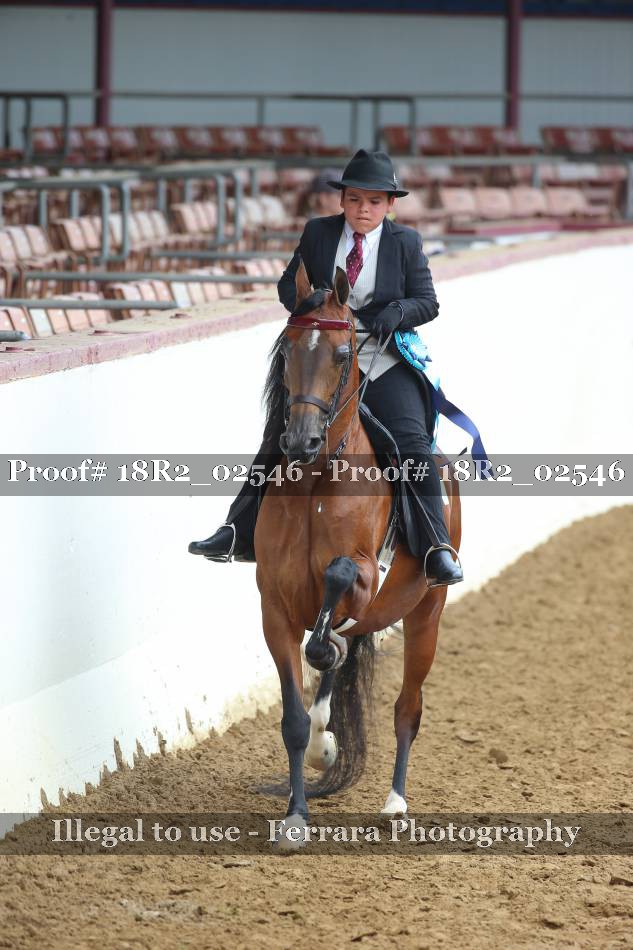Proof 18R2_02546